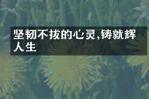 坚韧不拔的心灵,铸就辉煌人生