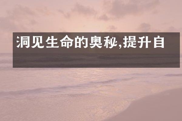 洞见生命的奥秘,提升自我
