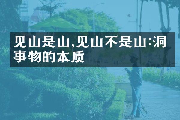 见山是山,见山不是山:洞悉事物的本质