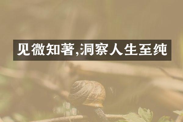 见微知著,洞察人生至纯