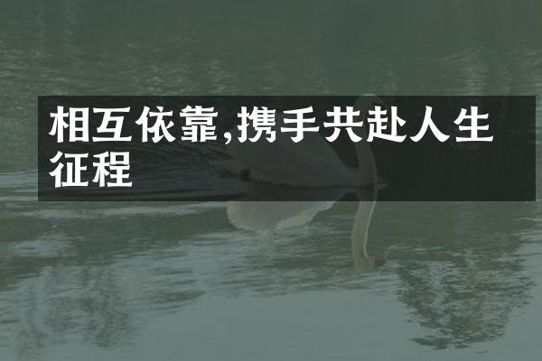 相互依靠,携手共赴人生的征程