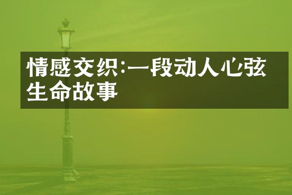 情感交织:一段动人心弦的生命故事