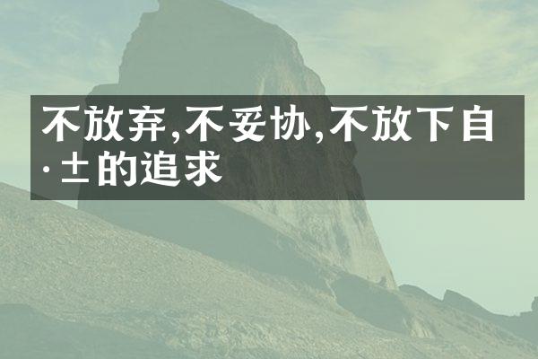 不放弃,不妥协,不放下自己的追求