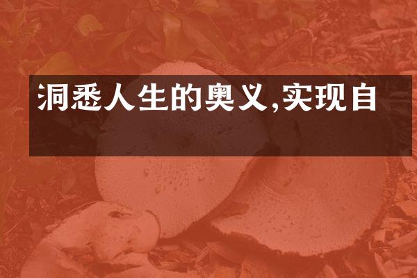 洞悉人生的奥义,实现自我