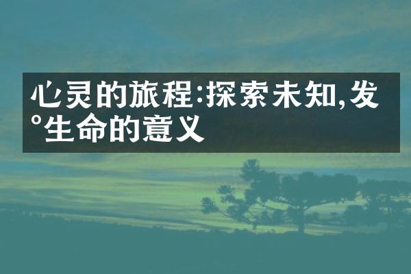 心灵的旅程:探索未知,发现生命的意义