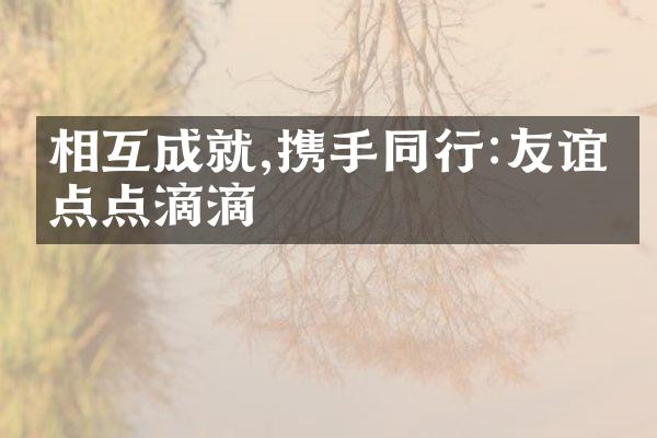 相互成就,携手同行:友谊的点点滴滴
