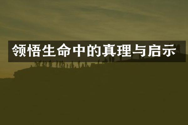 领悟生命中的真理与启示
