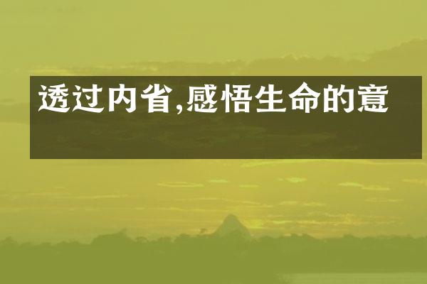 透过内,感悟生命的意义