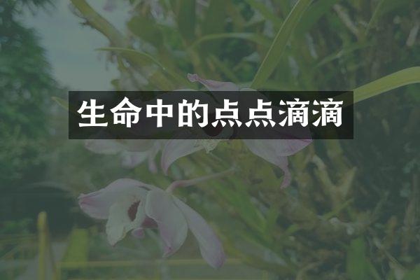 生命中的点点滴滴