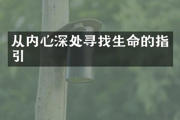 从内心深处寻找生命的指引