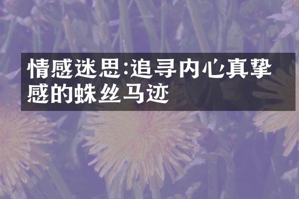 情感迷思:追寻内心真挚情感的蛛丝马迹