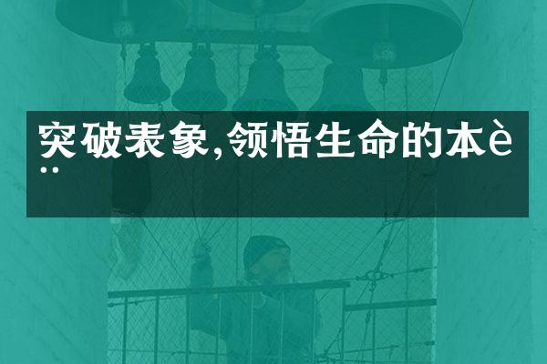 突破表象,领悟生命的本质