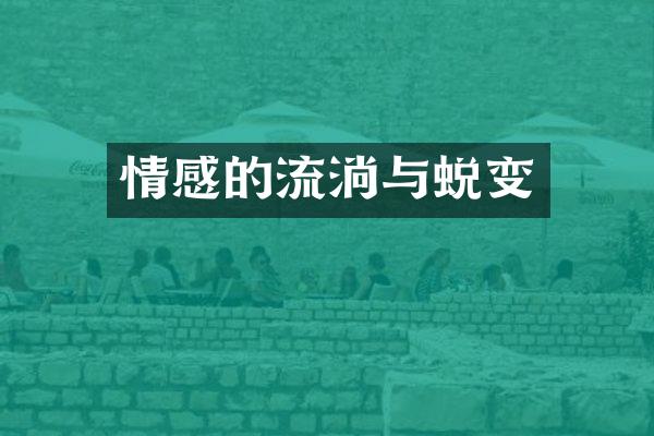情感的流淌与蜕变