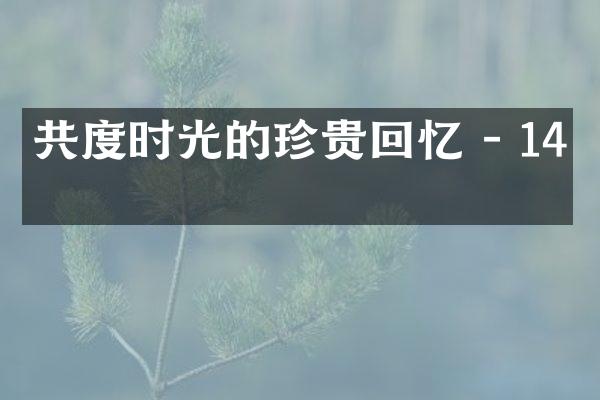 共度时光的珍贵回忆 - 14字