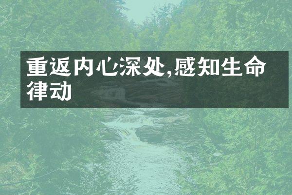 重返内心深处,感知生命的律动