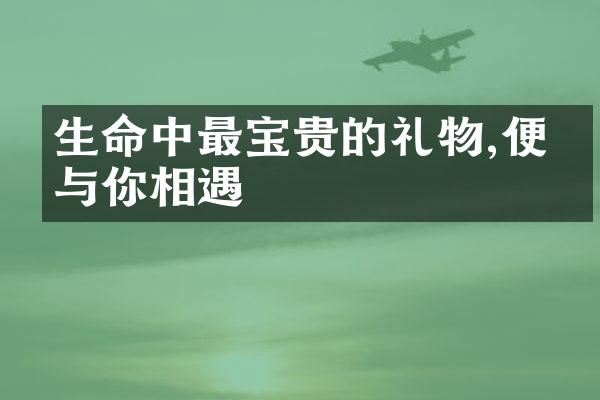 生命中最宝贵的礼物,便是与你相遇