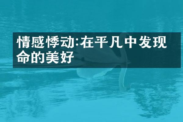 情感悸动:在平凡中发现生命的美好