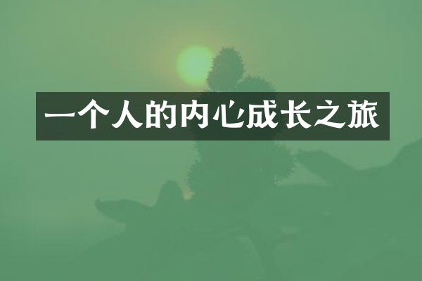 一个人的内心成长之旅