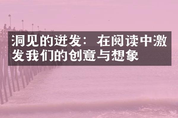 洞见的迸发：在阅读中激发我们的创意与想象
