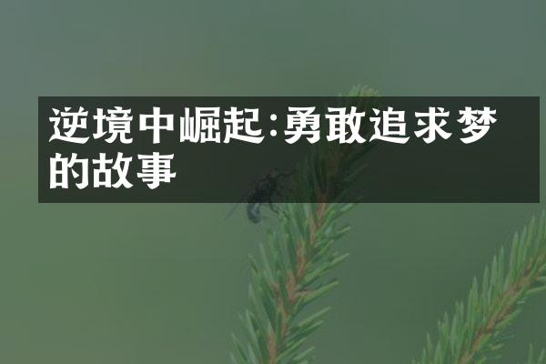 逆境中崛起:勇敢追求梦想的故事
