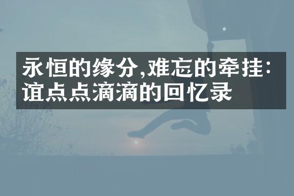 永恒的缘分,难忘的牵挂:友谊点点滴滴的回忆录
