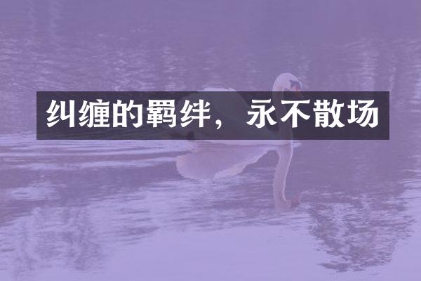 纠缠的羁绊，永不散场