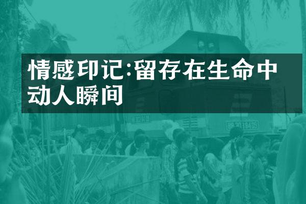 情感印记:留存在生命中的动人瞬间