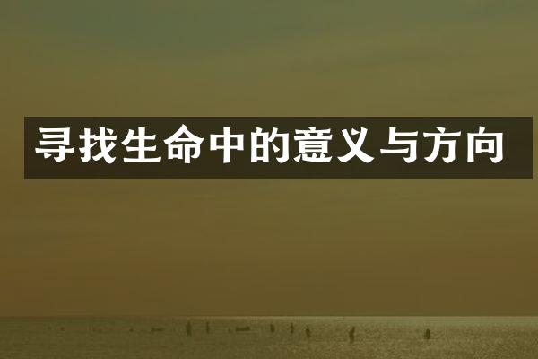 寻找生命中的意义与方向