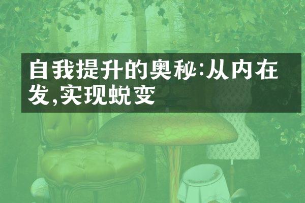 自我提升的奥秘:从内在出发,实现蜕变
