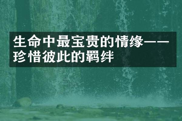生命中最宝贵的情缘&mdash;&mdash;珍惜彼此的羁绊