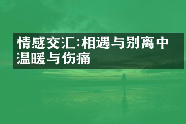 情感交汇:相遇与别离中的温暖与伤痛