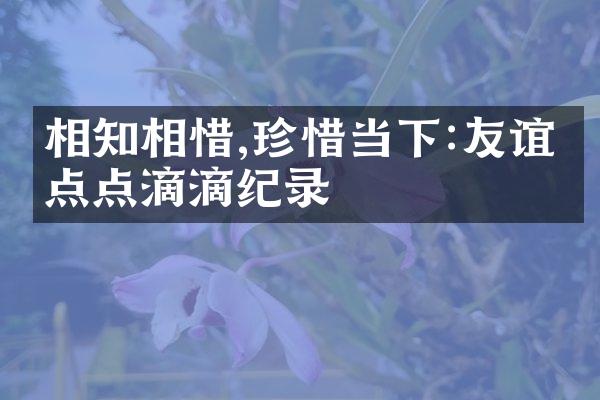 相知相惜,珍惜当下:友谊的点点滴滴纪录