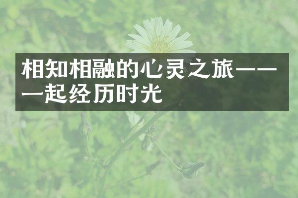 相知相融的心灵之旅&mdash;&mdash;一起经历时光