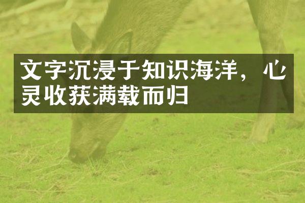 文字沉浸于知识海洋，心灵收获满载而归