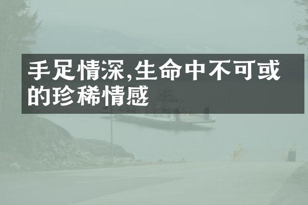 手足情深,生命中不可或缺的珍稀情感