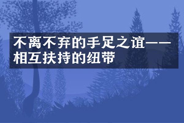 不离不弃的手足之谊&mdash;&mdash;相互扶持的纽带