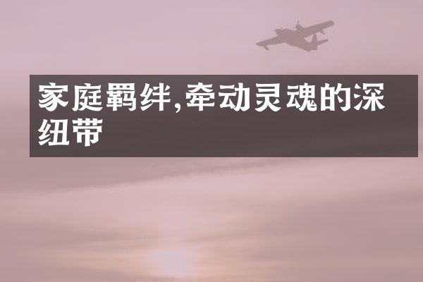 家庭羁绊,牵动灵魂的深沉纽带