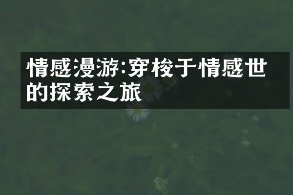 情感漫游:穿梭于情感世界的探索之旅