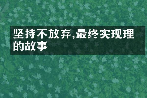 坚持不放弃,最终实现理想的故事