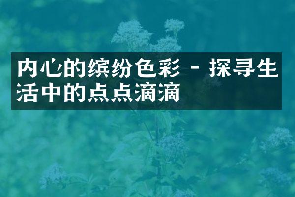 内心的缤纷色彩 - 探寻生活中的点点滴滴