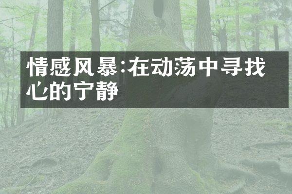 情感风暴:在动荡中寻找内心的宁静