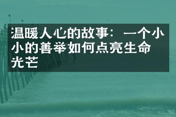 温暖人心的故事：一个小小的善举如何点亮生命的光芒