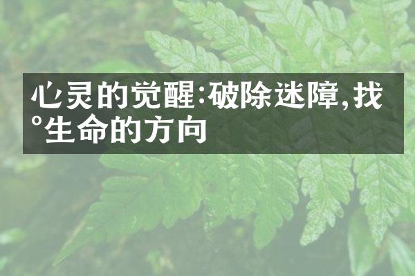 心灵的觉醒:破除迷障,找到生命的方向