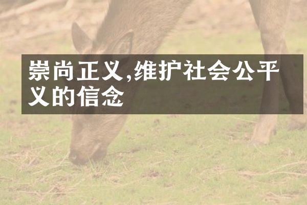 崇尚正义,维护社会公平正义的信念