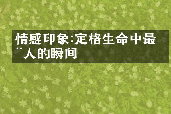情感印象:定格生命中最动人的瞬间