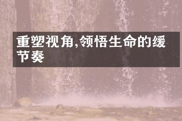 重塑视角,领悟生命的缓慢节奏