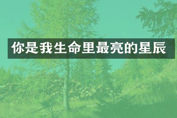 你是我生命里最亮的星辰