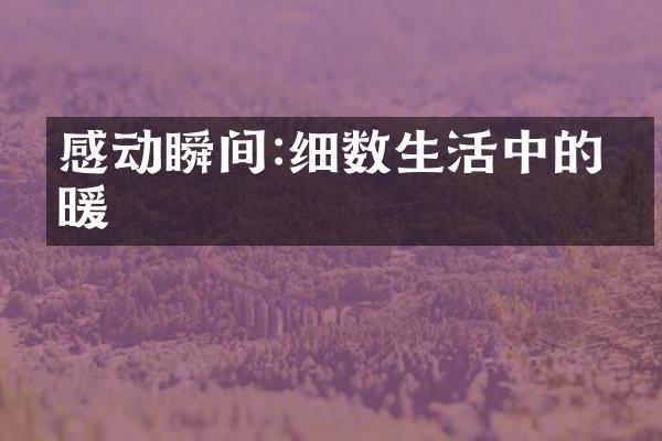 感动瞬间:细数生活中的温暖