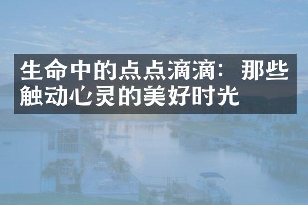 生命中的点点滴滴：那些触动心灵的美好时光
