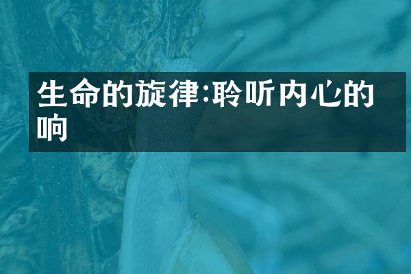生命的旋律:聆听内心的回响